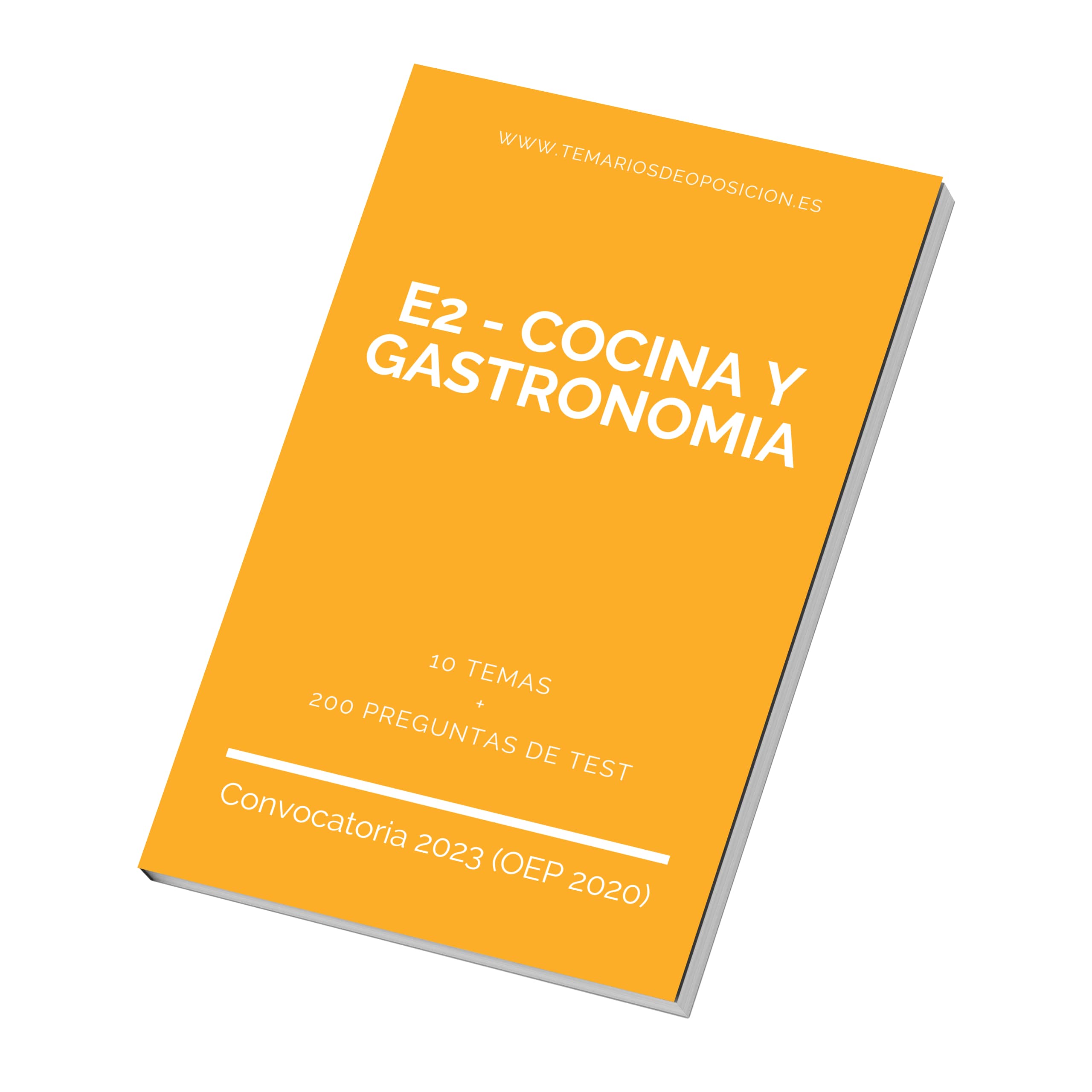 Temario E2 - COCINA Y GASTRONOMIA